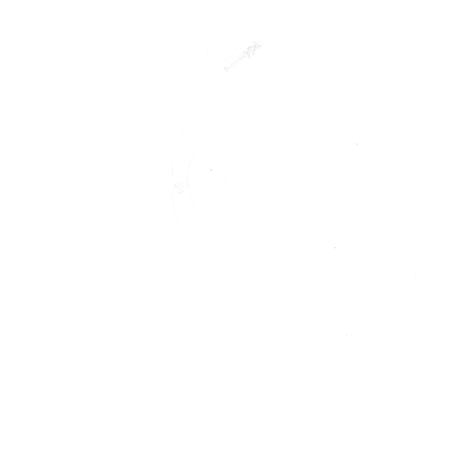 TheBack40